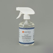 Evidea Deco Aura Of Tanzania Adventure Sprey Oda Kokusu - Şeffaf - 500 ml
