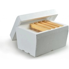 Civan 60061 Ana Arı Çiftleştirme Kutusu