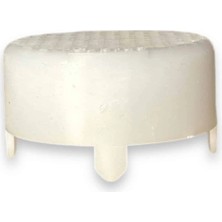 Ana Arı Meme Hapsetme