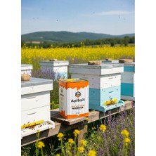 Sıvı Arı Yemi - Arı Şurubu - Teneke - (24 Kg)