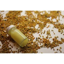 Civan Arı Sütü Yerli (10 Gr)