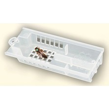 Ana Arı Kafesi - Plastik