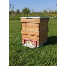 Kovan Katlı 20 Çıtalı