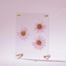 Qua Home Orive Pirinç Ayaklı Pleksi Fotoğraf Çerçevesi 15X20 cm