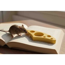 Yalgın 3D Peynirli Ayraç (10 Adet)