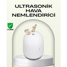 Acstore Abs+Pp Malzemeli Taşınabilir 220 ml USB Mist Nemlendirici