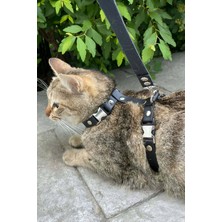 Marsilyan Kedi Gezdirme Tasması, Deri Kedi Gezdirme Tasması - NPC007