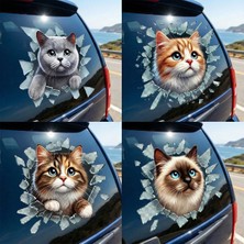 Marsilyan Fulcar Kedi Tasarımlı Araç Stickerı