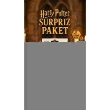 Marsilyan Harry Potter Sürpriz Figür Oyuncak Koleksiyon Kutusu