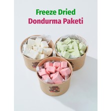 ÇITLAT ÇEREZ SHOP Freeze Dried Dondurma Paketi 3\'lü Set - Çilekli Antep Fıstıklı Vanilyalı Dondurularak Kurutulmuş Dondurma