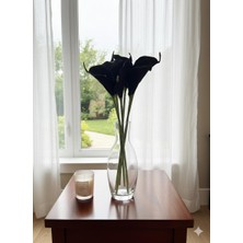 Bakburaya Yapay Çiçekçilik Yapay 8li Siyah Islak Gala Ev Vazo Dekor Çiçeği