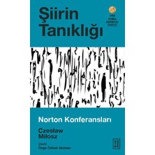 Feifei Şiirin Tanıklığı