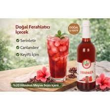 Dafa Hibiskus Suyu 750ml | Doğal Antioksidan İçecek | Ferahlatıcı & Detoks Destekleyici | Hatmi Çiçeği Özlü