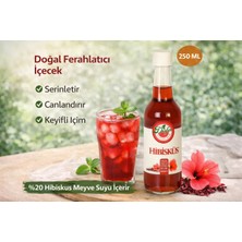 Dafa Hibiskus Suyu 250ml | Doğal Antioksidan İçecek | Ferahlatıcı & Detoks Destekleyici | Hatmi Çiçeği Özlü