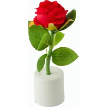 Marsilyan Gül Işıklı Biblo 17 cm