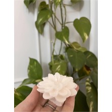 Verda Desing Hediyelik Beyaz Lotus Çiçeği El Yapımı Dekoratif Tasarım Mum