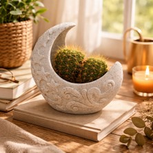 Otscraft Studio Dekoratif Ay Tasarımlı Kaktüs & Sukulent Saksı  | Küçük Bitki Saksısı