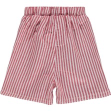 Civil Baby Çizgili 6-18 Ay Şort - Kırmızı 12-18 Ay