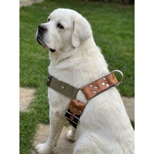 Balkonda Köpek Göğüs Tasması Dev Irk Ayarlamalı 5 cm Genişlik Emniyet Kemeri Palaska Kolon Kordon