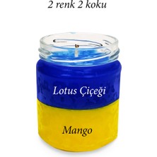 Premium Seri 2 Renk 2 Koku Sarı Lacivert Beş Yıldız Kavanoz Mum 210 cc - Ryl