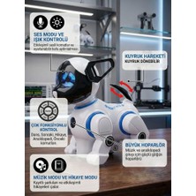 Farbu Oyuncak Kumandalı Müzikli, Işıklı, Ses Komutlu, Dans Eden, Hikaye Anlatan Akıllı Robot Oyuncak Köpek
