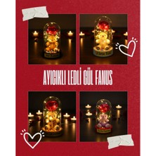 Kaymak Home Ayıcıklı Ledli Gül Fanus