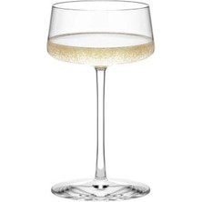 Stölzle Lausitz 6'lı Power Şampanya Kadehi 315 ml 1590041