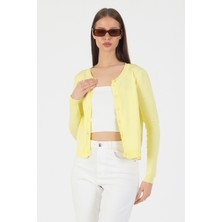 EkinDemir Yuvarlak Yaka Düğmeli Basic Şık Triko Hırka Minimal Tasarım