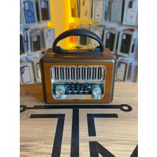 Avcı Teknoloji Market Krom Izgaralı Mini Nostaljik Radyo Bluetoothlu Hoparlör Dekoratif Müzik Kutusu