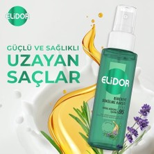 Daisy Store Tonik Biberiye Dökülme Karşıtı 90 ml