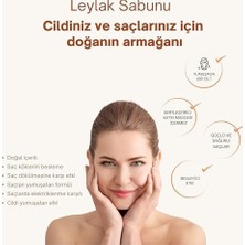 Daisy Store 100% Organik Leylak Sabunu 120 gr | Saç Dökülmesine Karşı, Saç Uzamasını Destekleyen 100% Doğal Katı Şampuan