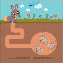 Daisy Store Fınd (3+ Yaş) / Iq Dikkat ve Yetenek Geliştiren Kitaplar Serisi