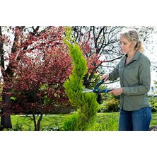 Daisy Store Çit Makası Precisioncut