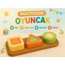 Mibe.co Renkli Şekiller ve Eğitici Sıralama Montessori Oyuncak Seti