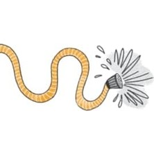 Daisy Store Dadanık