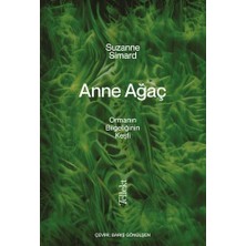 Daisy Store Anne Ağaç