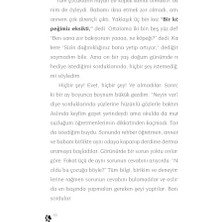 Daisy Store Cingo Sc