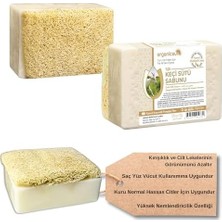 Daisy Store Doğal Kabak Lifli Keçi Sütü Sabunu 120 gr 1 Adet Tüm Cilt Tipleri Için Nemlendirici ve Yenileyici