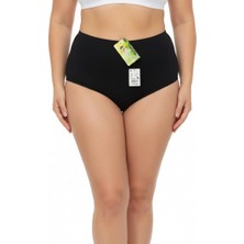 Wear Treasure Kadın 3'lü Paket Bambu Külot