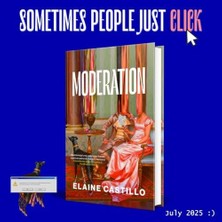 Daisy Store America Is Not The Heart