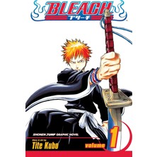 Daisy Store Bleach, Vol. 1: Strawberry And The Soul Reapers