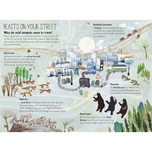 Daisy Store The Big Book Of Beasts (Big Books)