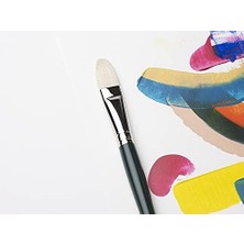 Daisy Store & Newton 5990608 Winton Fırça Setleri, Yağlı Boya, Akrilik Boya ve Alkid Boya Için, Yüksek Kaliteli Domuz Kıllarından -3 Düz Fırça No. 2, 4, 8