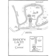 Daisy Store Celladın Kara Çuvalını Ören Ot: (Flavia De Luce Polisiyesi 2)