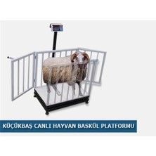 Tem Canlı Hayvan Baskülü (Küçük Baş)