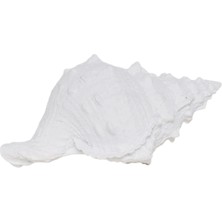 Yargıcı Deniz Kabuğu Formlu Poliresin Obje(14x23x13 Cm)