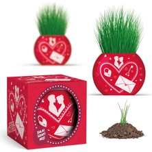 Daisy Store Aşk Temalı Xl Çim Adam - 6'lı Bitki Yetiştirme Seti – Romantik ve Eğlenceli Bir Hediye