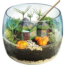 Daisy Store Teraryum Potter Hagrid'in Kulübesi