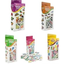 DIYTOY Eğlenceli Manyetik Hayvanlar Sayılar Harfler Taşıtlar Meyveler 5'li Set Aile ile Oynanabilir