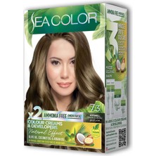 Pileli Store 2 Tüp Krem Saç Boyası Seti Fındık Kabuğu No:7.3